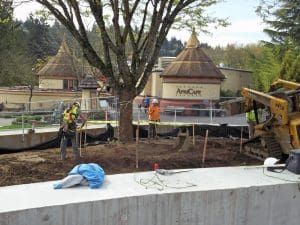 Oregon Zoo, capital improvement project, construction staking, arborist construction inspection, Portland, tree protection